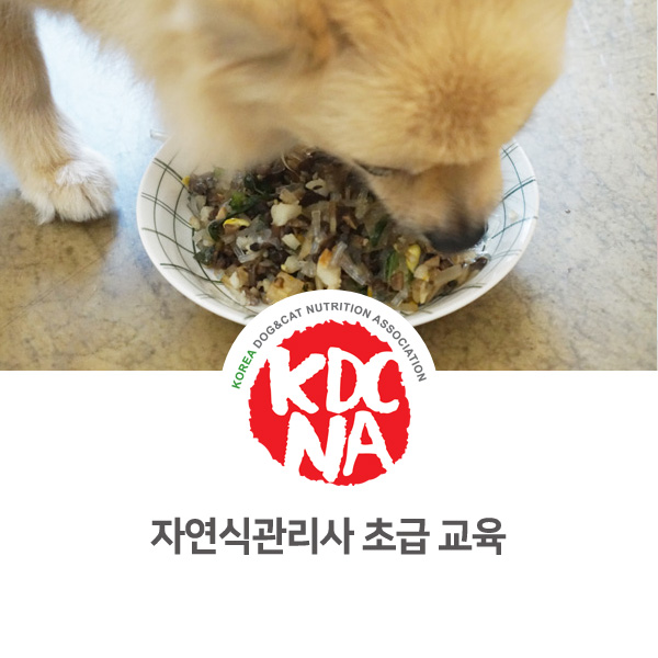  [반려동물 영양 전문 자격 교육] 강아지 자연식관리사 초급반 실습_13