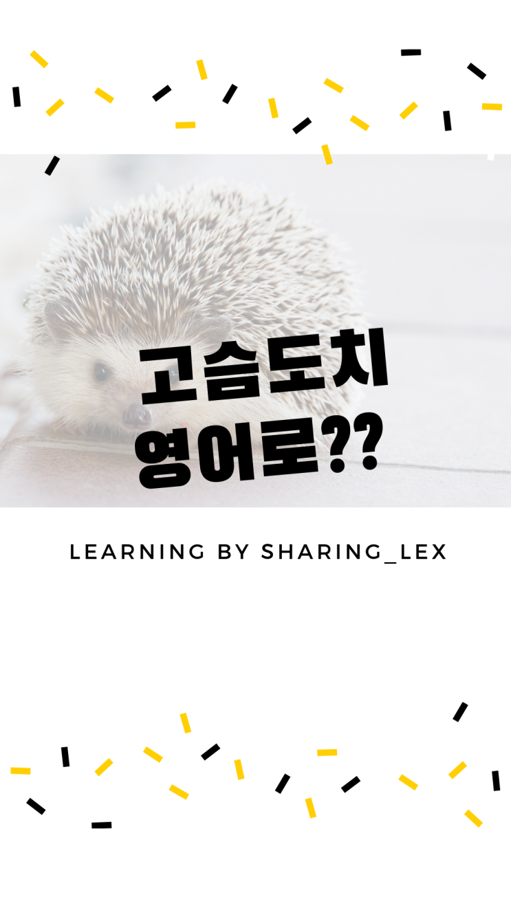  고슴도치는 영어로 뭐라할까?