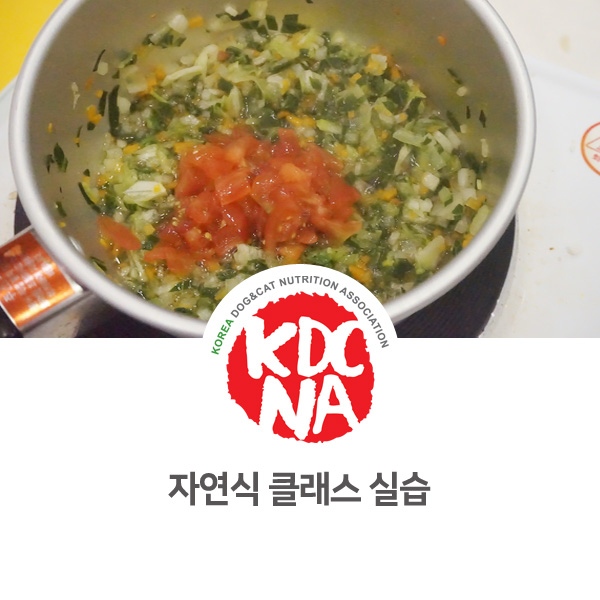  [영양 펫푸드 전문 자격 교육] 반려동물 자연식관리사 초급반 실습_15