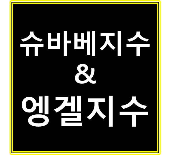  슈바베지수 & 엥겔지수