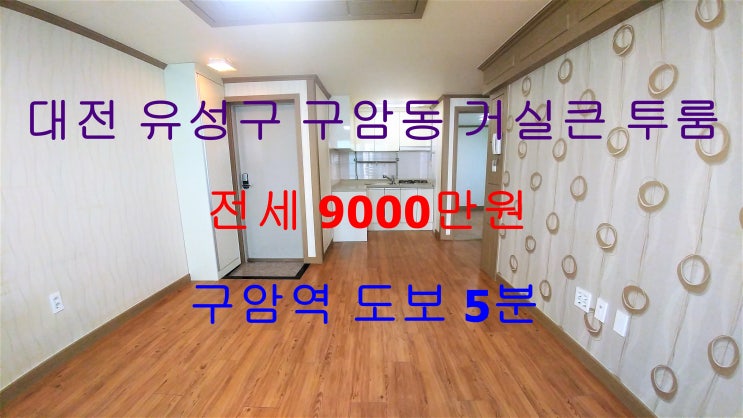  대전유성구구암동거실큰투룸전세(구암역인근)