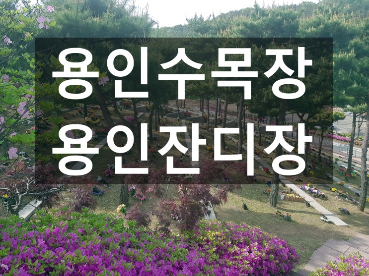  용인수목장 가격이 궁굼합니다~