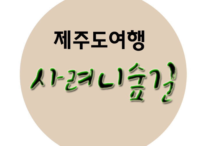  제주도 사려니숲길 산책하기 너무 좋아