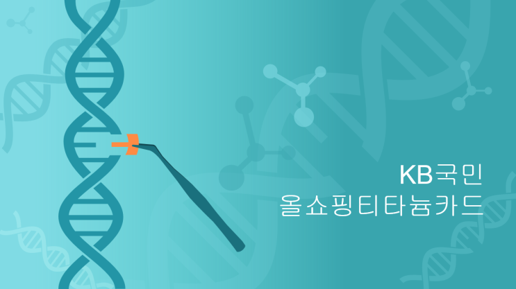  KB국민카드 탄탄대로 올쇼핑 티타늄 꼼꼼하게 추천1위