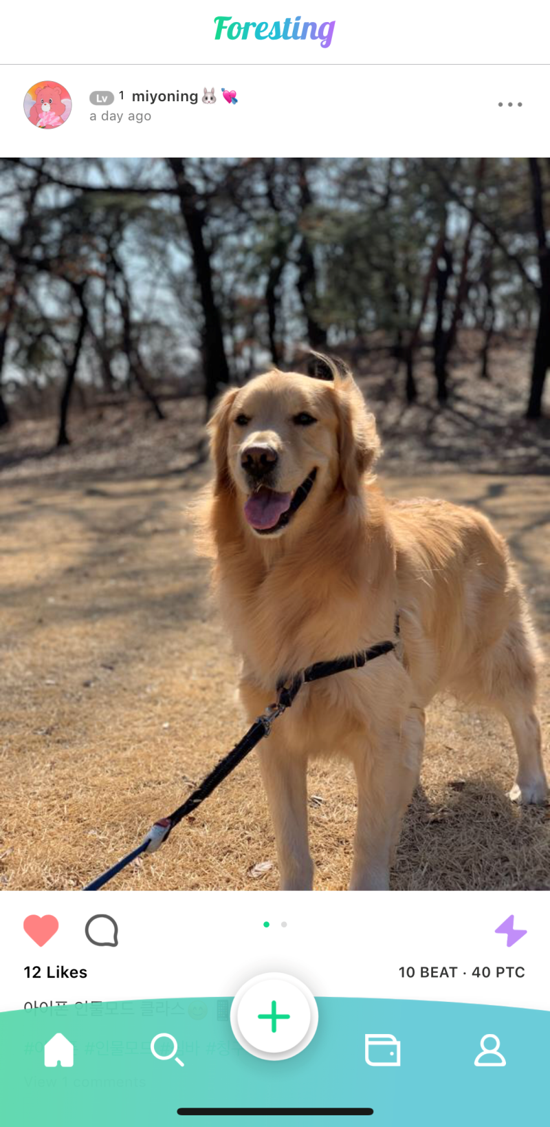 4탄] 포레스팅(FORESTING) 암호화폐 피톤(PTON) 코인, 클로즈베타테스트! 그것이 알고 싶다. : 네이버 블로그