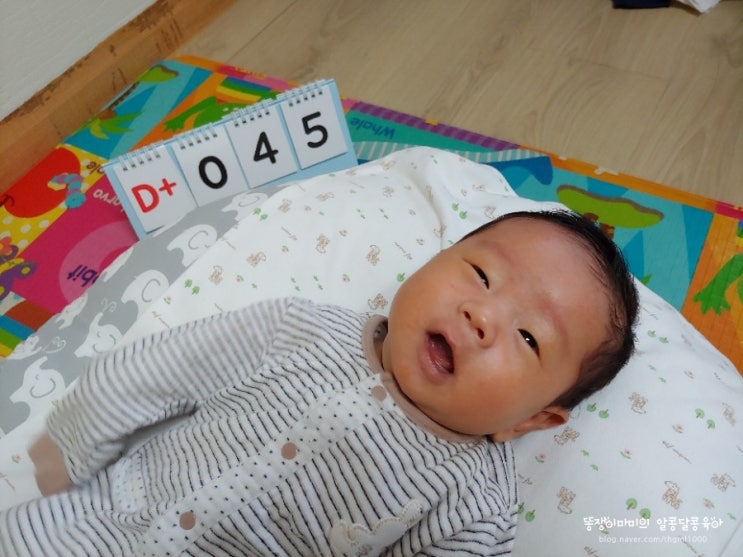  생후 45일 ~ 생후 48일 아빠의 생신/준이형아를 많이닮은 셩이 / 황달수치가 떨어졌어요