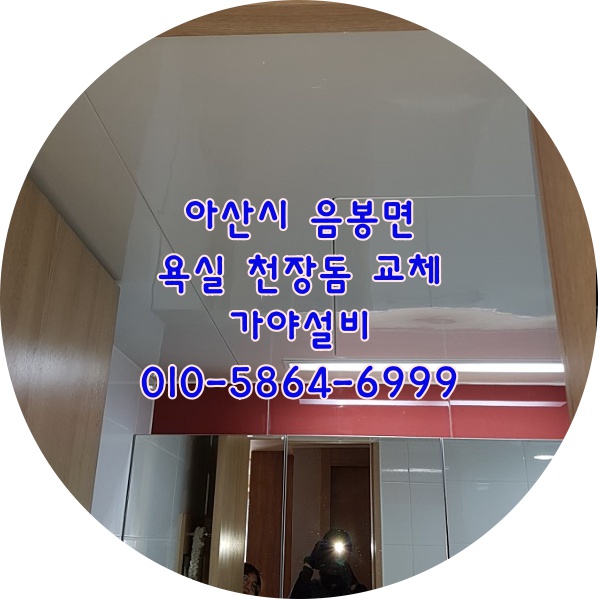  아산 음봉 더샵레이크시티3차아파트 포스코3단지 포스코3차 천장돔교체 천장누수