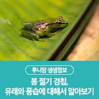  봄 절기 경칩, 유래와 풍습에 대해서 알아보기