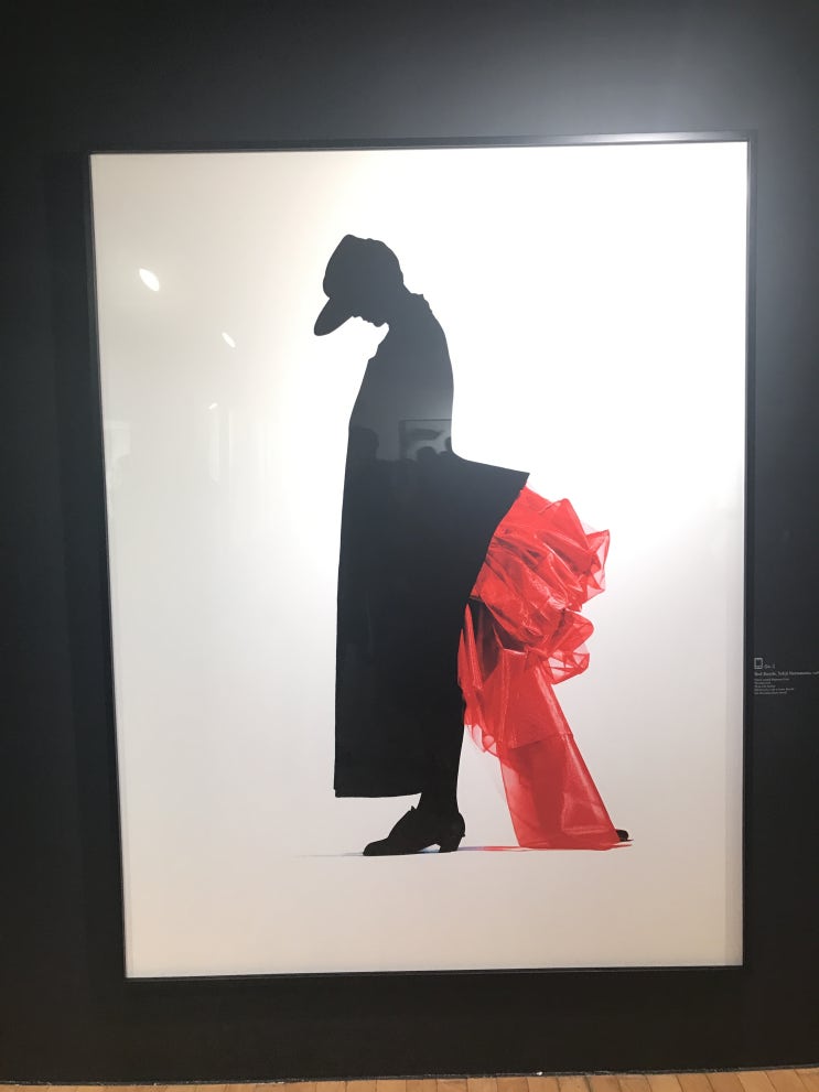  #대림미술관 : 거침없이, 아름답게 (NICK KNIGHT 'IMAGE') 전시