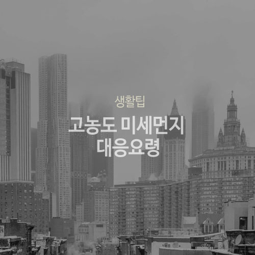  전국 미세먼지 심각! 행동요령 환경부 고농도 미세먼지 대응요령 숙지합시다 