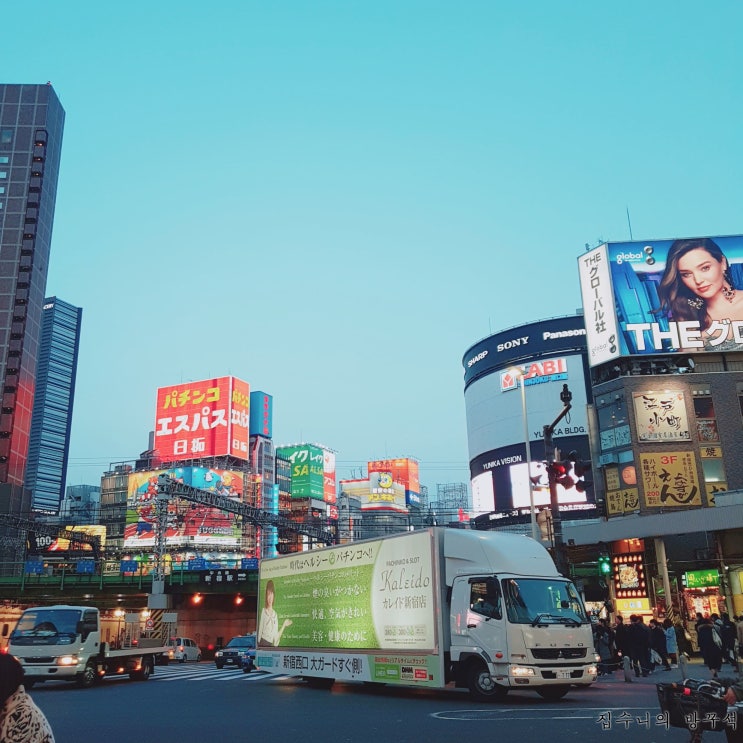  [일본워홀] 248日 쏘야 / 이치란 13번째 출근