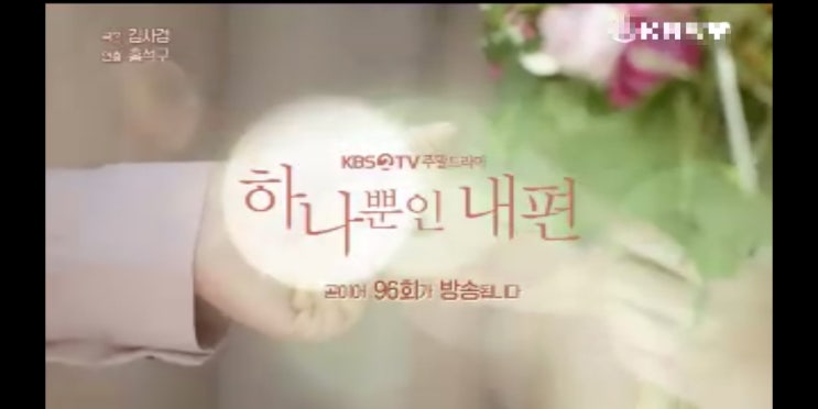 KBS 2TV 주말드라마 '하나뿐인 내편'관련 포스트 #1