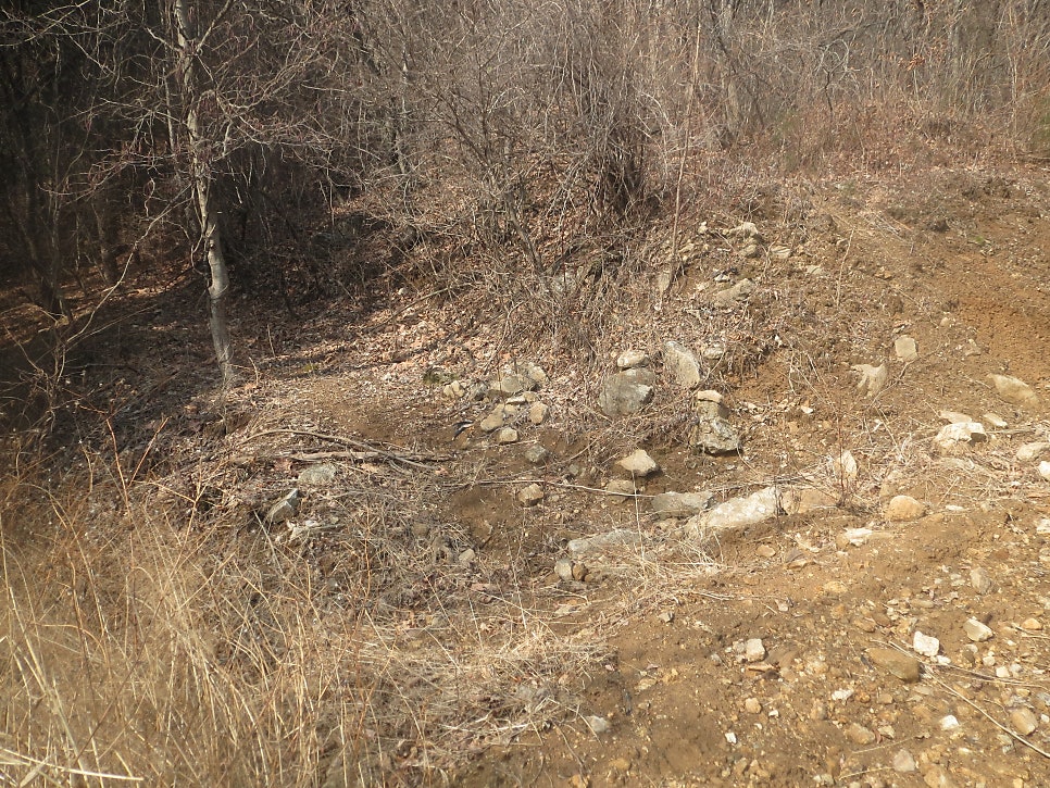 멀골 사진 3