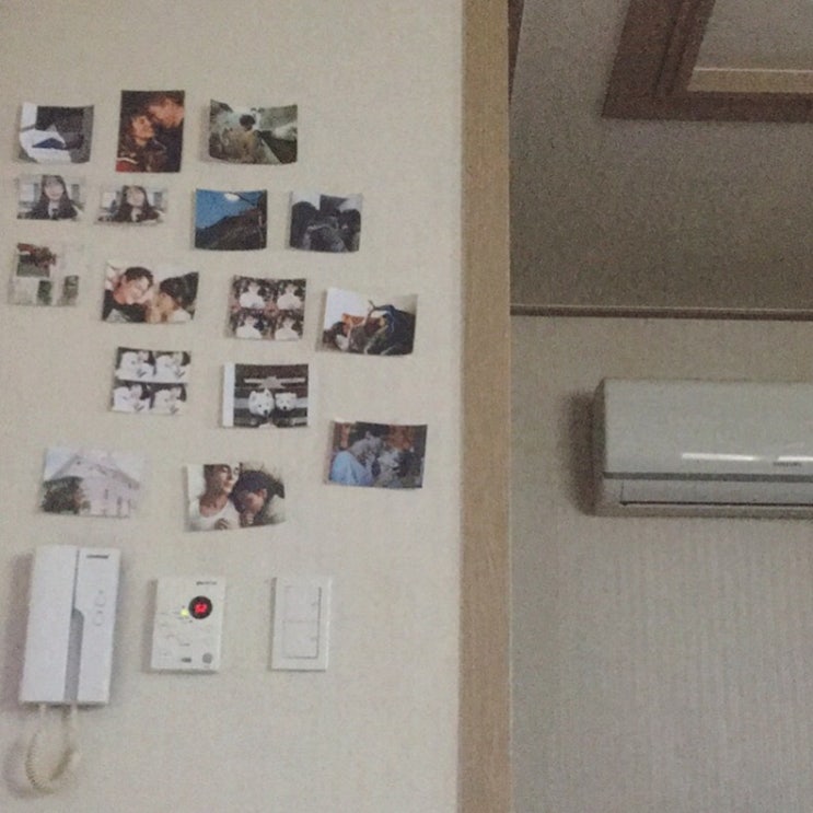  아무사진 대잔치