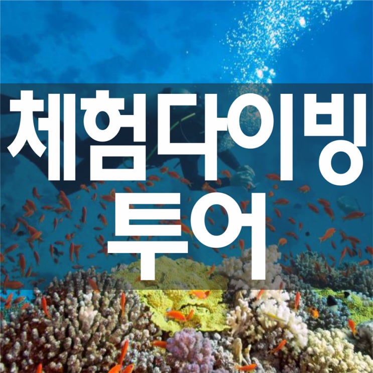  세부여행)환상적인 세부 바다속 체험! 체험다이빙투어!