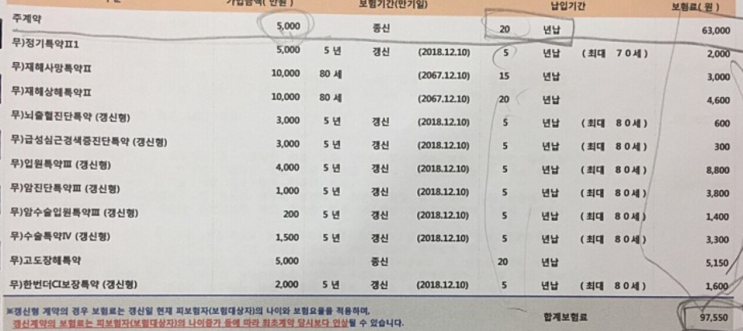  ing생명 라이프케어변액ci종신보험 리모델링 문의
