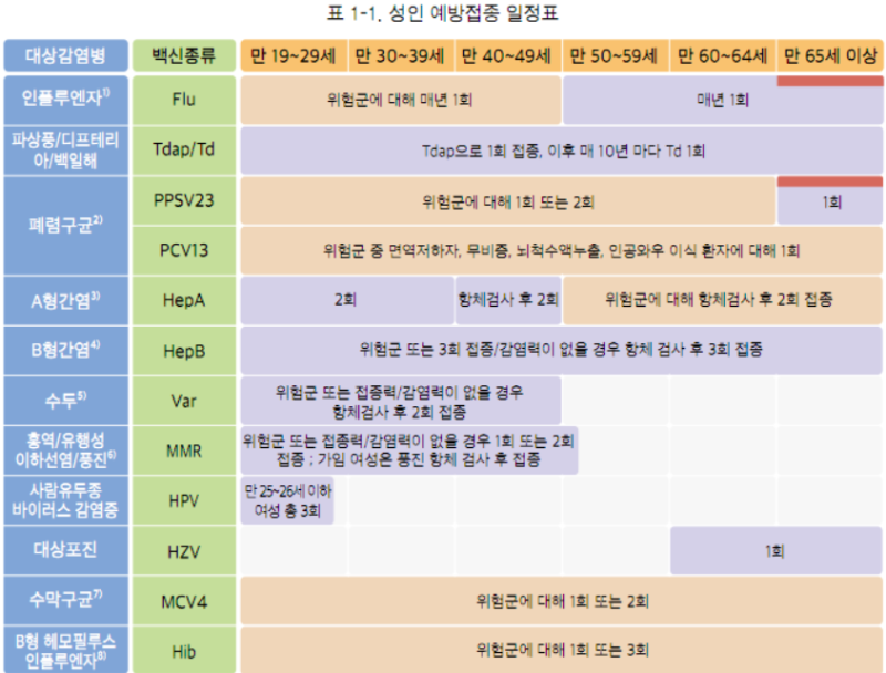 접종순서, 뇌수막염, 폐렴구균, MMR, 수두, A형간염 등 확인