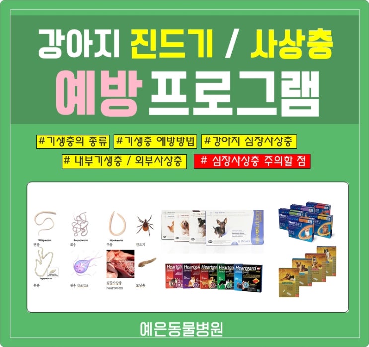  강아지 심장사상충,진드기 등 기생충 예방프로그램