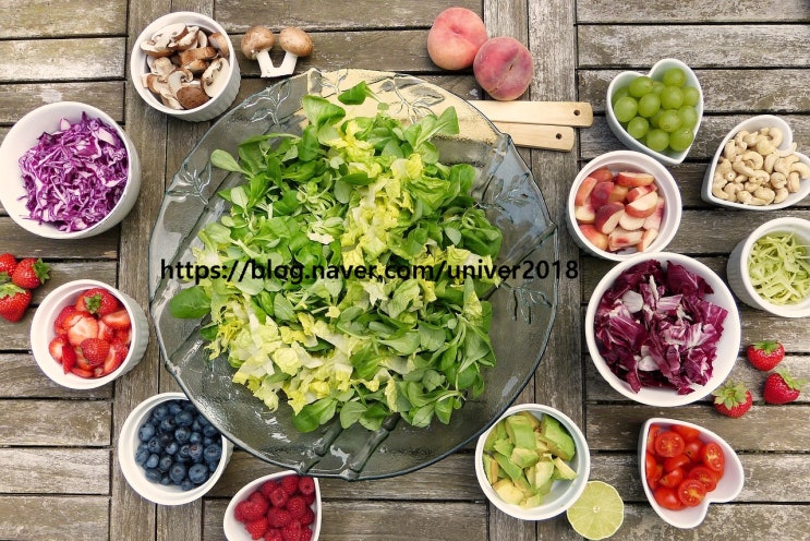 식생활과 식습관-2.다이어트시 야채를 많이 먹는다?