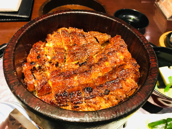  나고야 3박 4일 - 마루야혼텐 히츠마부시, 긴테츠로 나바나노사토 일루미네이션, 후라이보 테바사키
