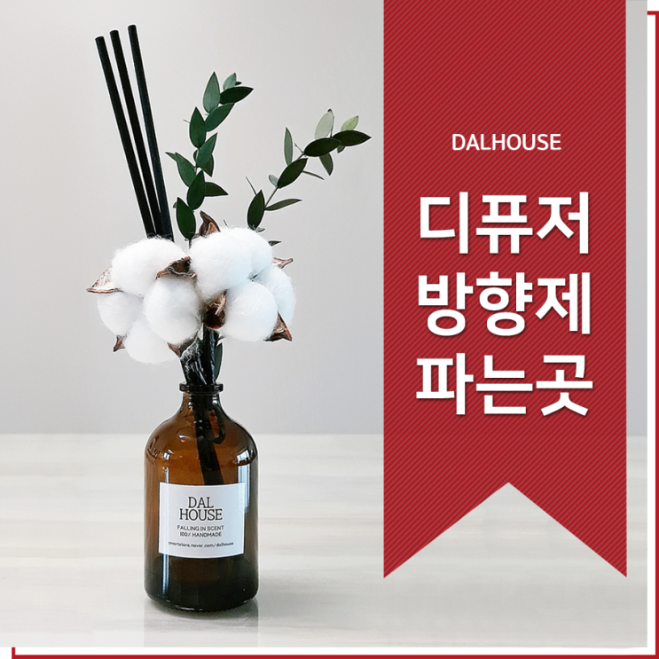  디퓨져파는곳 싱그런 플랜테리어 작은집 꾸미기
