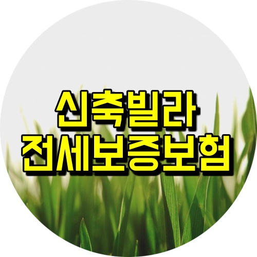  신축빌라 전세 진행시 전세보증보험 요건