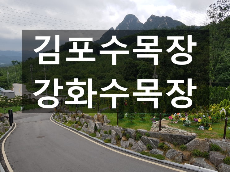  김포수목장 자연친화적인 수목장 입니다~