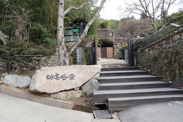  부산 기장가볼만한곳 영화 군도, 대호, 협녀칼의기억, 달의연인보보경심 등 촬영지 '아홉산숲' 많은 기대는 하지마세요~