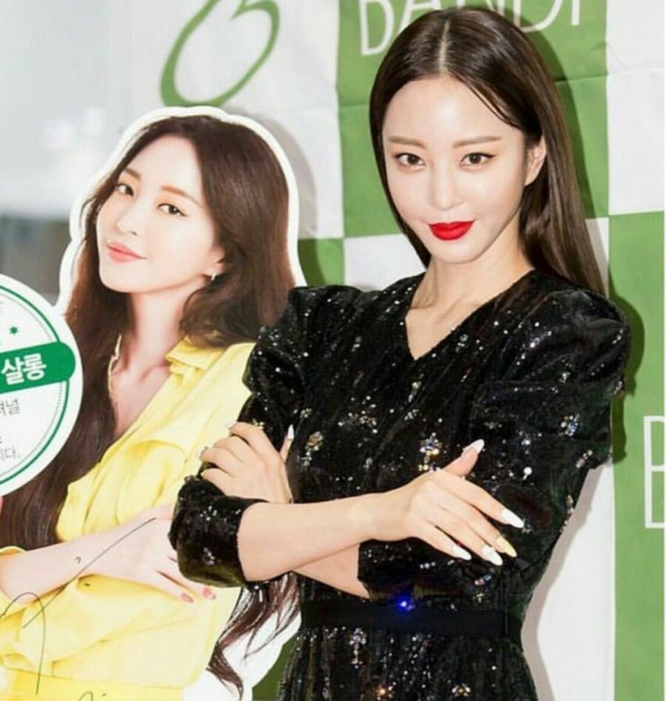 한예슬 인스타그램 패션 반디네일 행사장 에르뎀 드레스와 슈츠 구두 한예슬 인스타그램 패션 반디네일 행사장 에르뎀 드레스와 슈츠 구두