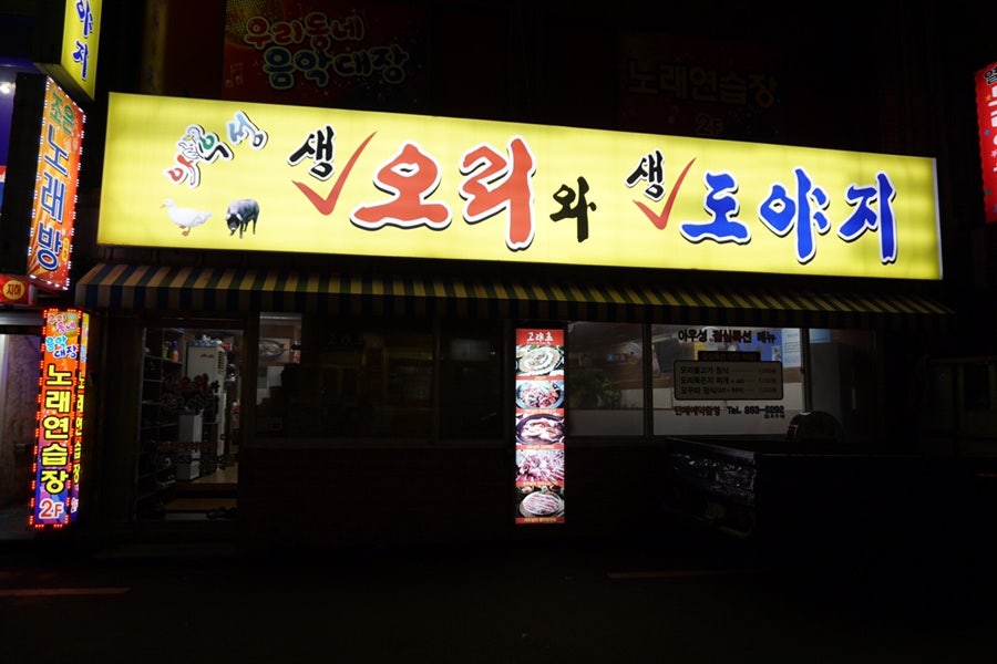 아우성생오리 사진 2