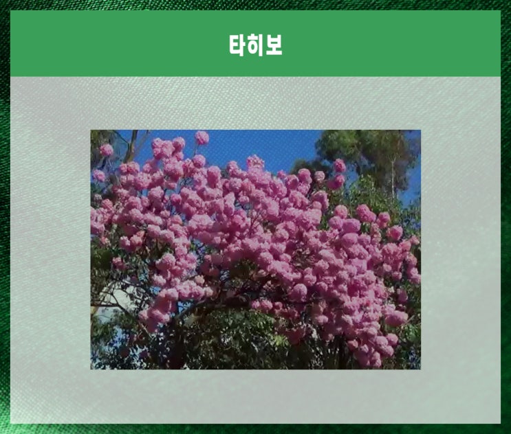  담도암 생존율 위한 항암 음식 논문 정보