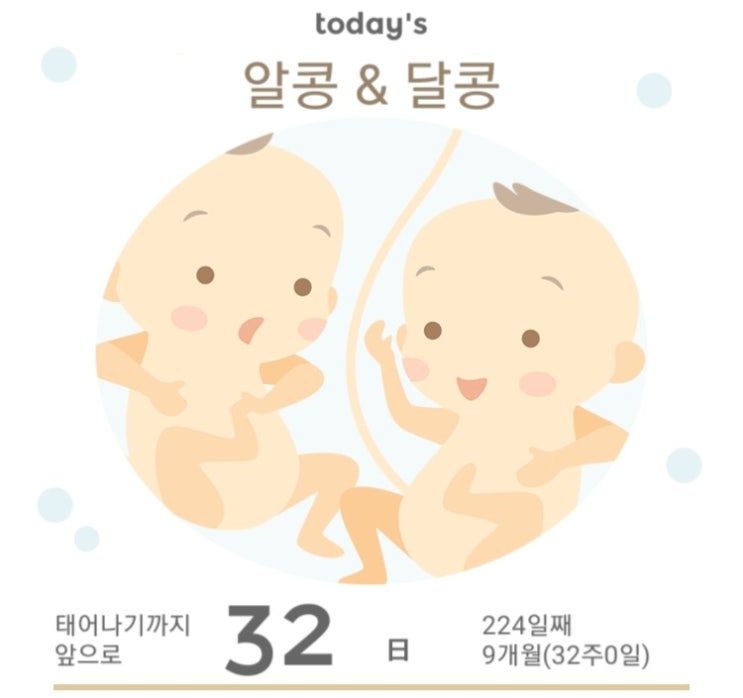  [임신 일기] 쌍둥이 임신 임신 32주 출산 / 응급 출산 / 임신중독증 / 서울아산병원 고위험 임산부 집중관리실