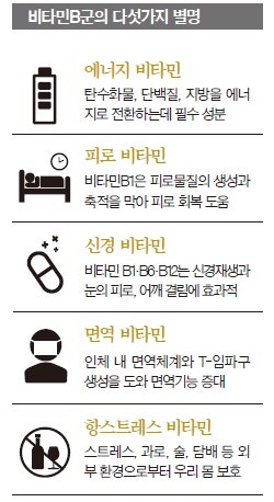 비타민B6(피리독신)효능 및 부작용 권장섭취량 정리 5