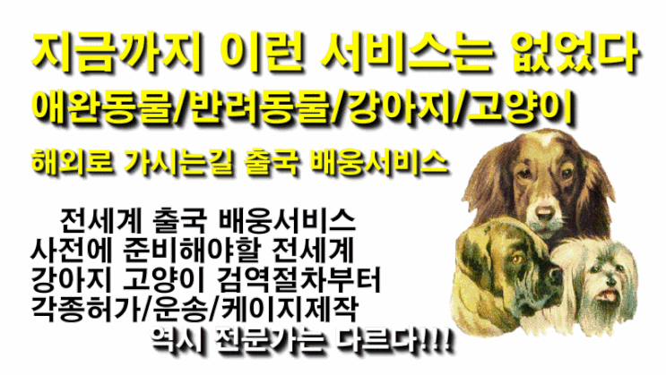  강아지검역[SPS필리핀수입허가]고양이허가필리핀 강아지고양이 해외여행 데려가기