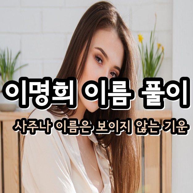 이명희 이름 풀이 <신세계 그룹 회장 재산 재계순위 정재은 이병철 이건희 이인희 고현정 이부진> 이명희 이름 풀이 <신세계 그룹 회장 재산 재계순위 정재은 이병철 이건희 이인희 고현정 이부진>