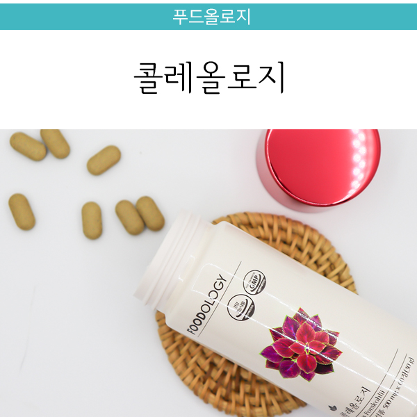  푸드올로지 콜레올로지, 일명 빨간통다이어트 칼로리컷팅제