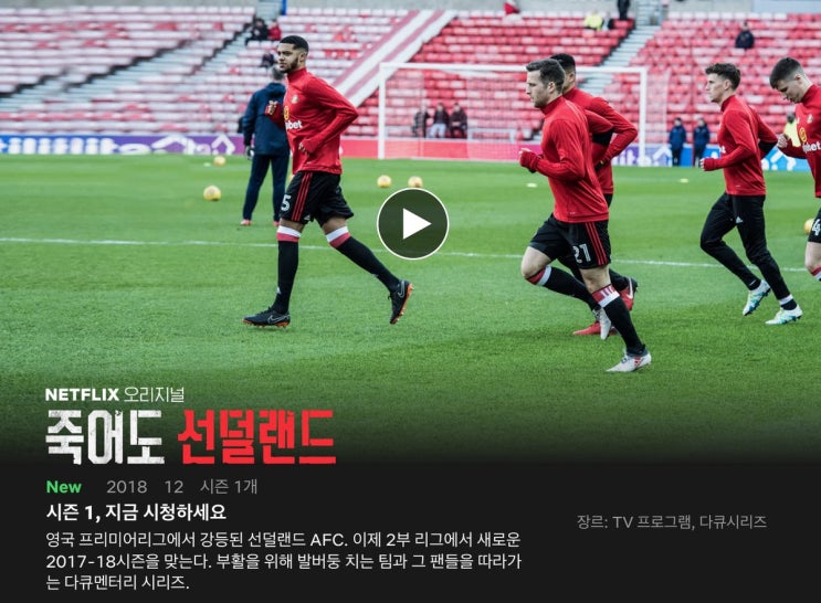  주말에 몰아보기 좋은 넷플릭스 스포츠 영화 TOP 5