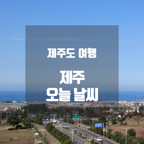  T 없ㅇI 맑은 ㅎr늘.. 미세먼지 없이 깨끗한 제주 오늘 날씨!