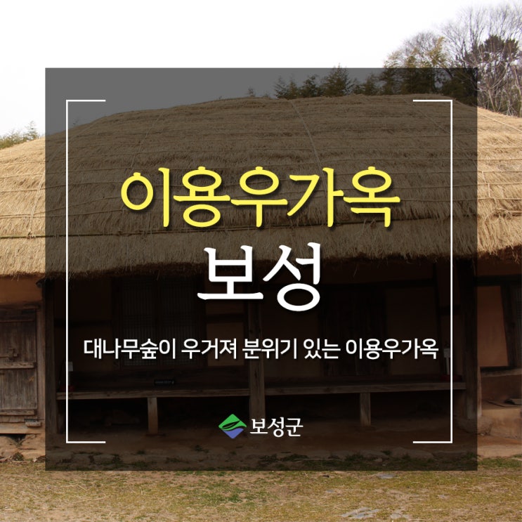  보성관광지 예동마을 대나무숲이 우거진 이용우 가옥 둘러보기