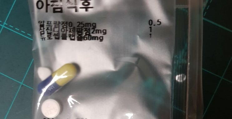  공황장애 와 우울증 먹고 있는 약 알프람정 디아제팜정 듀로셉톨캡슐