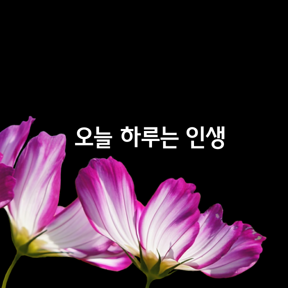  오늘 하루는 내 작은 인생이다.