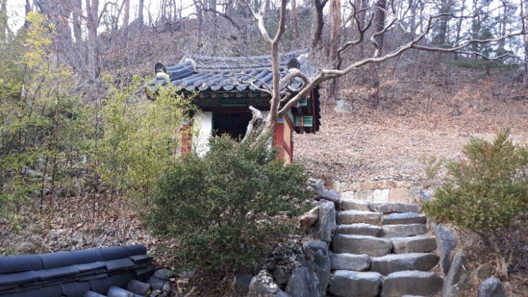  불영의 반영을 기다리다 매화의 향기에 취하다