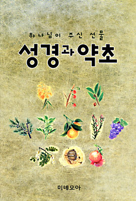  불순종함으로 변화된 그들의 모습을 거꾸로 서 있는 사람의 모습을 함께 그려 넣었다.