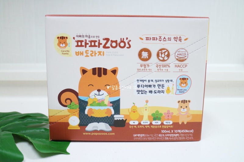 기침, 기관지에 좋은 음식, 약도라지 배주스 7
