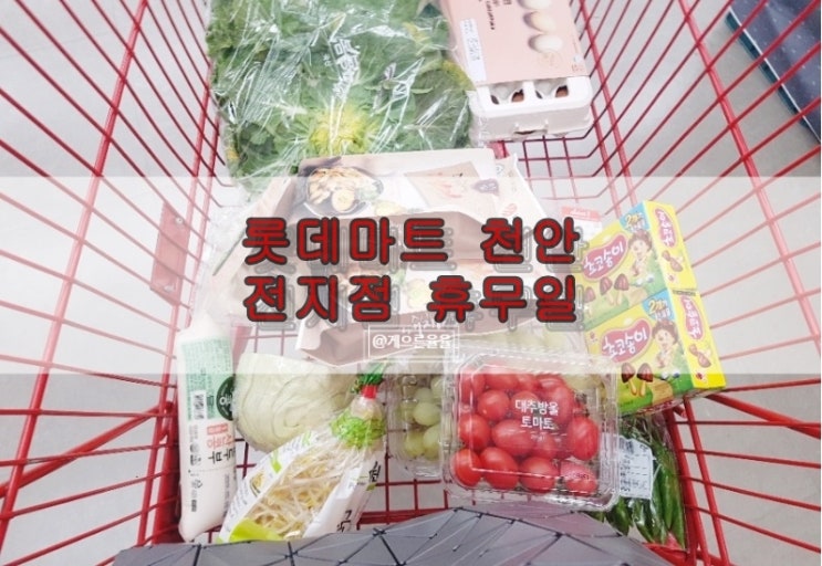  천안 롯데마트 휴무일 이번달 쇼핑리스트