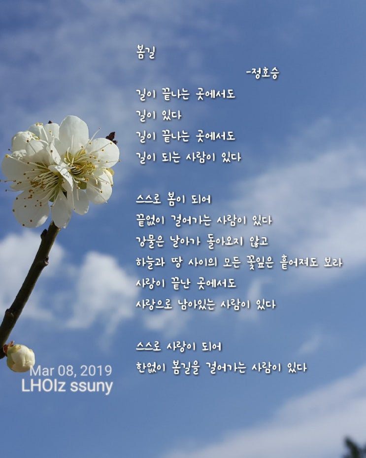  [글 그림] 시-정호승...봄길