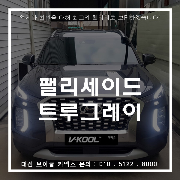 핫한! 현대 팰리세이드 역시 대전솔라가드썬팅으로~~