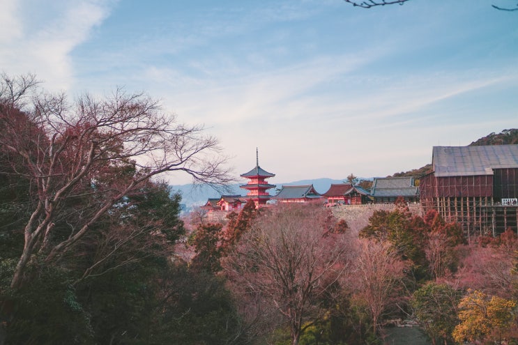  '19 오사카 4박 5일 ④ | 2일차 교토 당일치기/ 카모강/ 니넨자카/ 산넨자카/ 청수사/ 기요미즈데라/ 우메다 맛집 칸타로 스시