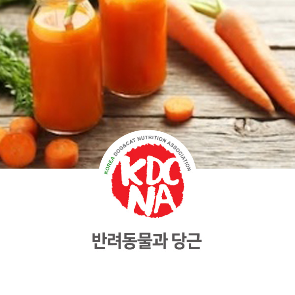  [강아지 고양이 영양 정보] 반려동물 당근 식재료 장단점_07