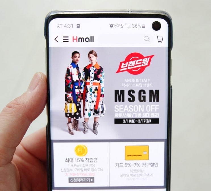 현대Hmall MSGM 패밀리세일 맨투맨 득! 엄청나 